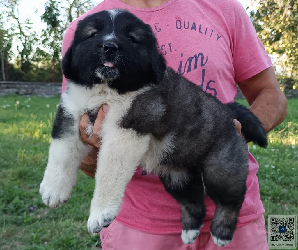 480420490 1281248549800771 5674187432484833803 n