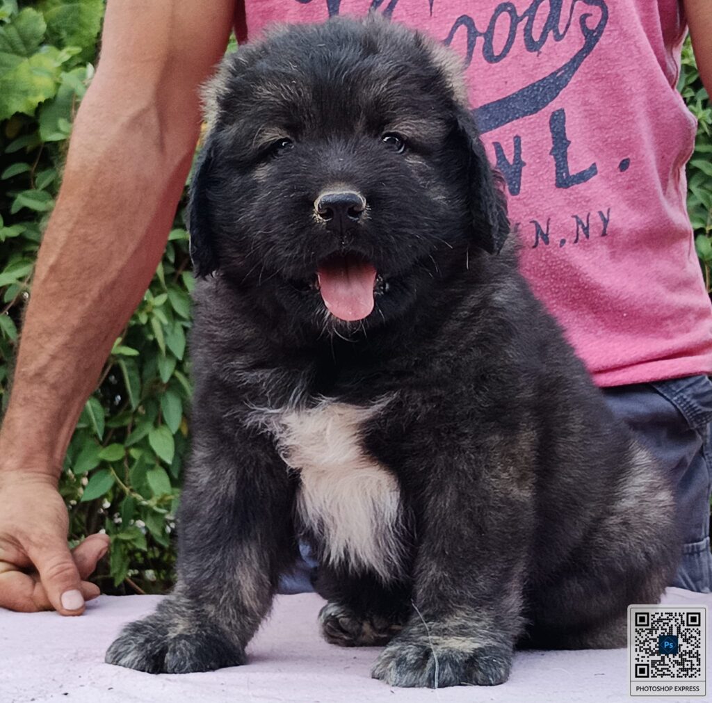 480436724 1281647246427568 8094685615760898436 n