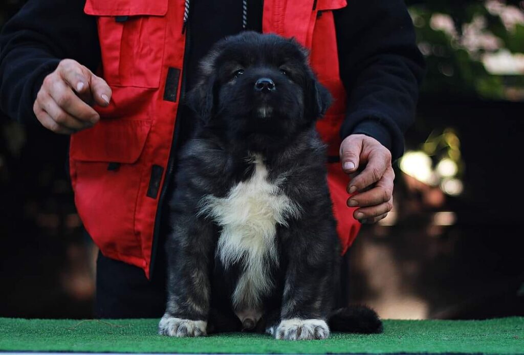 480563080 1281694189756207 8702670529889834784 n