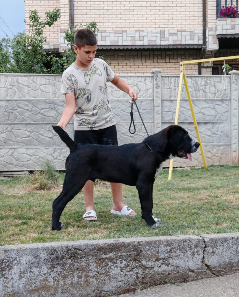 504180148 3648081425493802 8821885182437852647 n