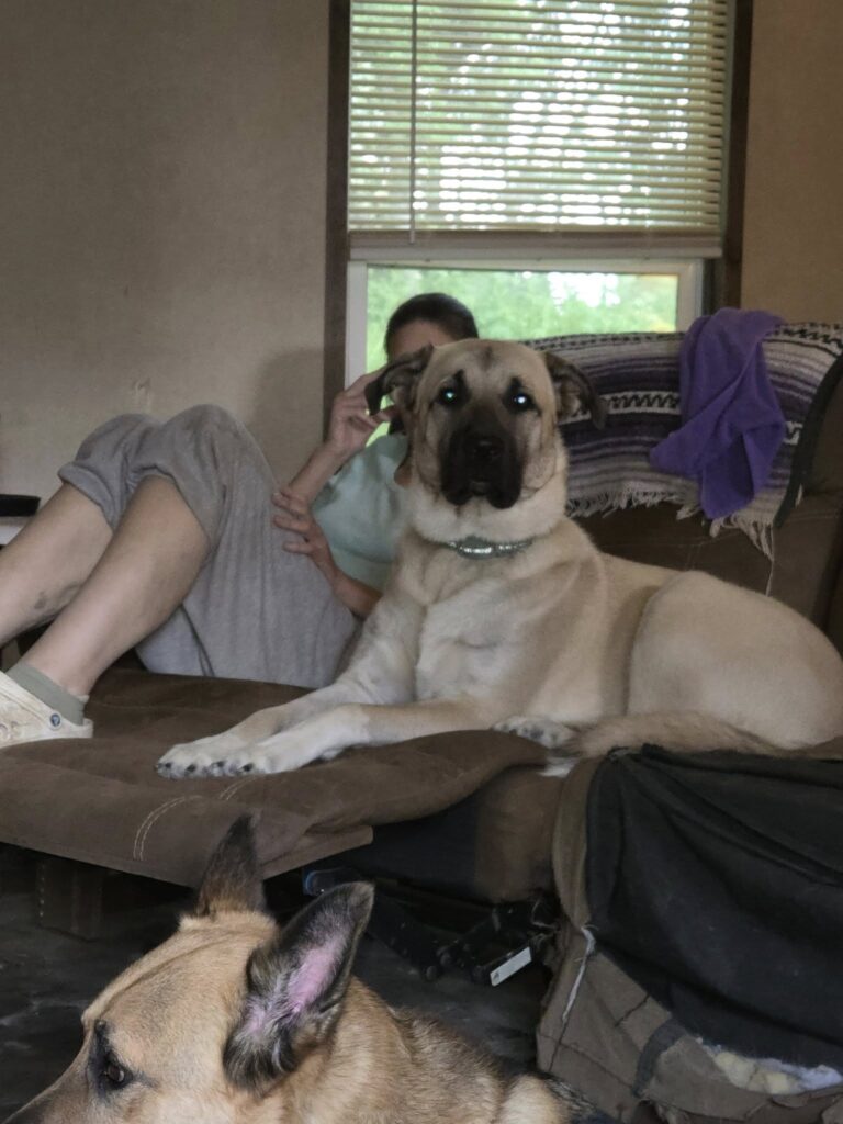 524126153 122268294866025648 2782708666866779700 n