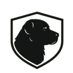 chatgpt image aug 21, 2025, 12 41 19 am